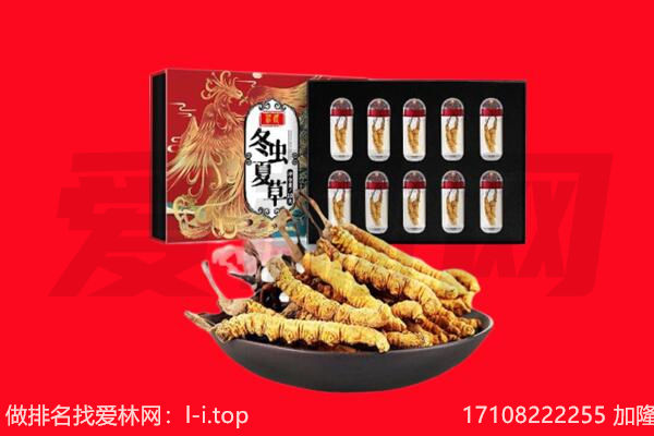 衡水回收虫草.jpg